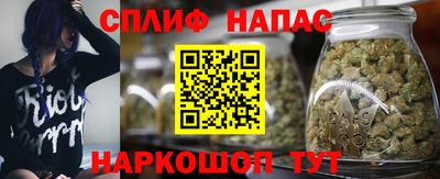 сатива Донецк