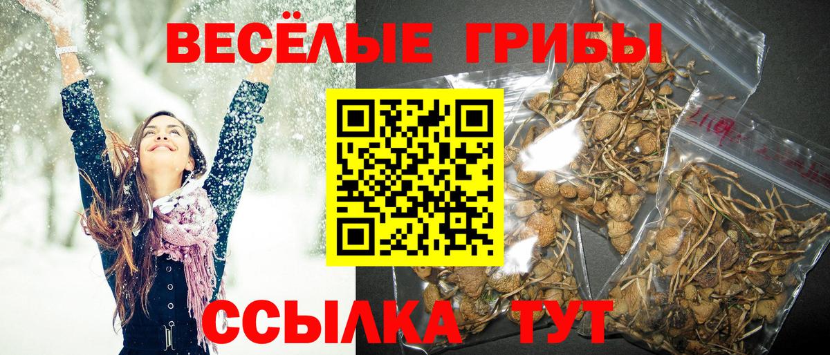 Галлюциногенные грибы мухоморы Ликино-Дулёво